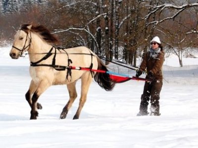 Equi Top Ski Joëring