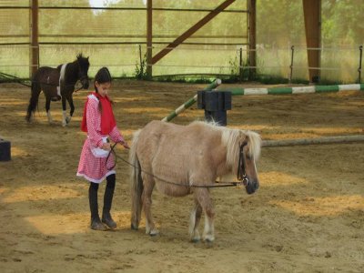 小马游览 卡尔瓦多斯 (Calvados)