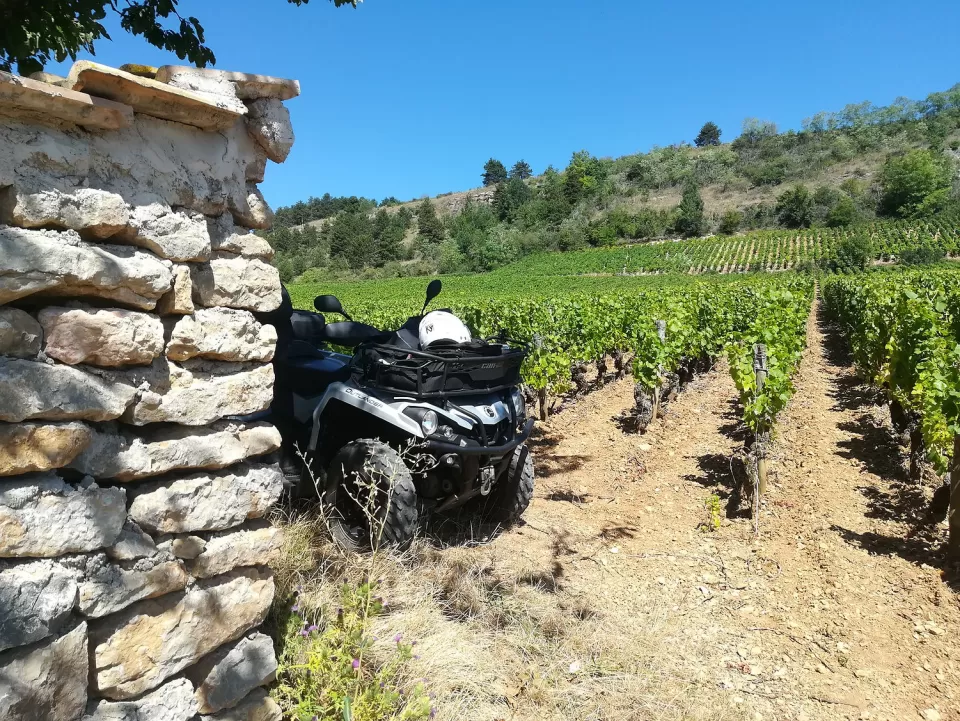 Escursione quad nel vigneto Burgundio