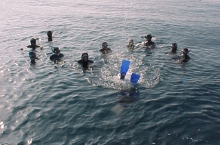  Un grupo de buceadores listos para la aventura 