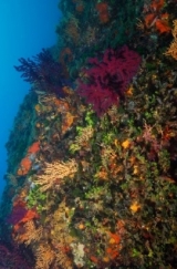  Marvelous biodiversity 