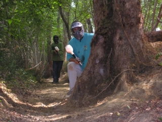  Foresta 