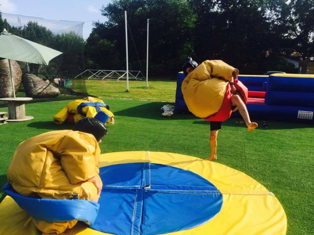  Fun Sumo game 