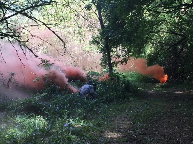 De nombreux fumigènes