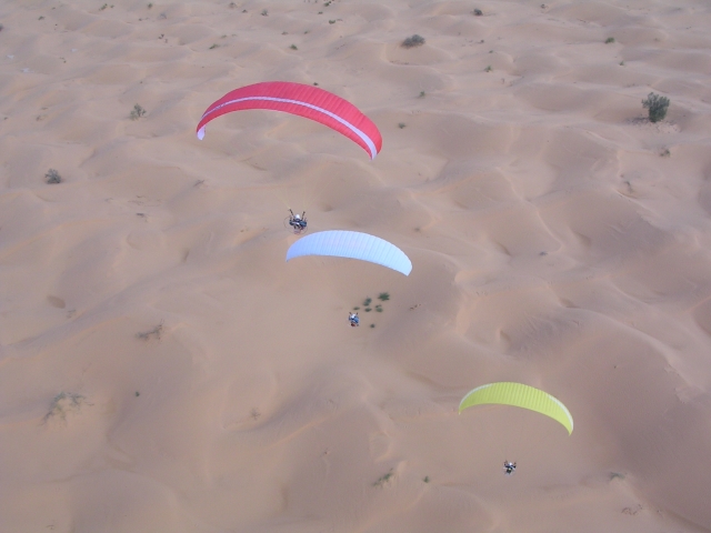  Scoperte eccezionali 