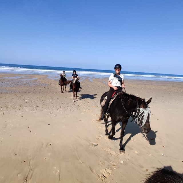  Spaziergänge im Médoc