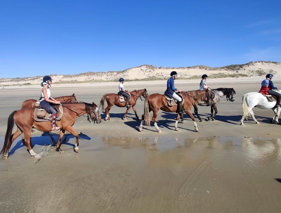  In der Nähe des Meeres 