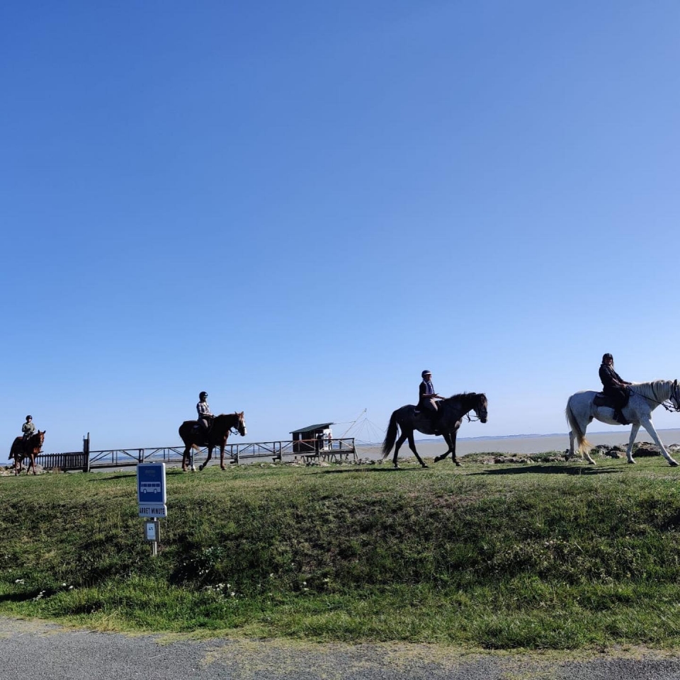  Ein Gruppenausflug zu Pferd 