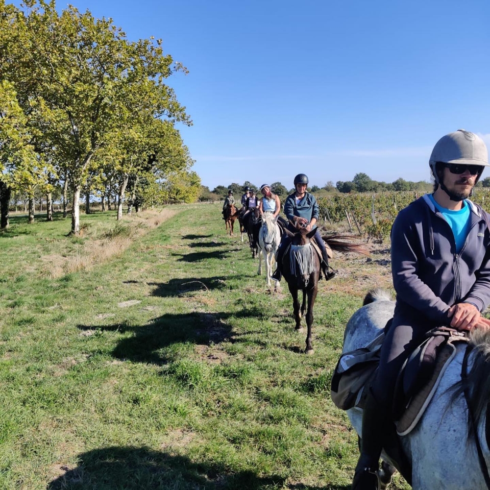  Eine Pause für die Pferde 