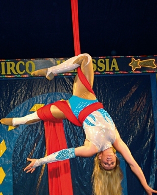  The trapeze artist 