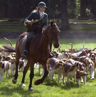 La meute en mouvement