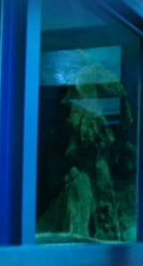 De différents emplacements