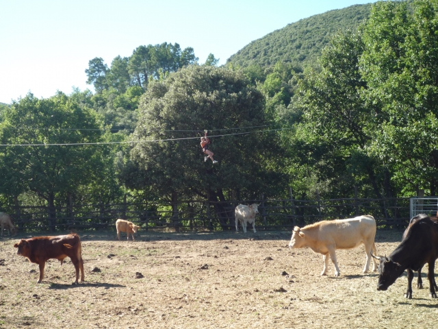  Activity in the countryside 