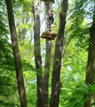 Idéal pour les grands