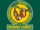 Monkey Forest 