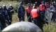 Paintball en grou