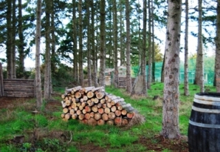  Lugar ideal para esconder 