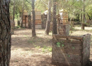  Area ben boscosa 