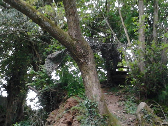 cache