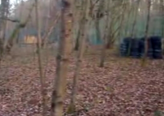  树木繁茂的地方 