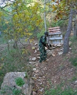  Lugar bem arborizado 