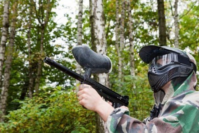  Discover the game in the forest 