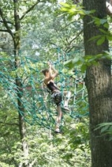 Dans la toile d´araignée