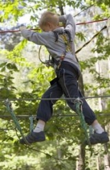 Parcours entre les arbres