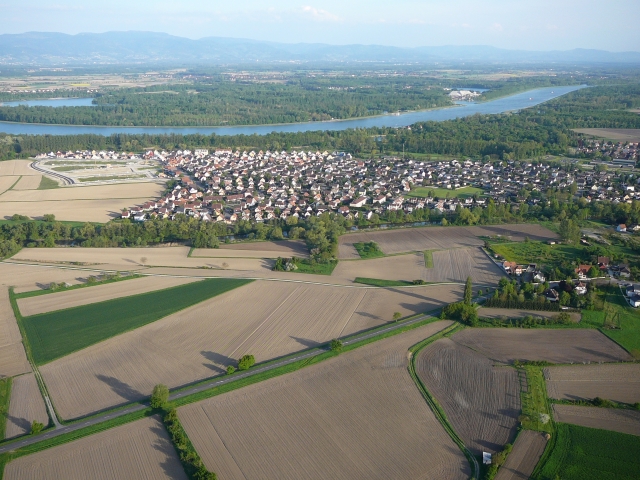  Rhin