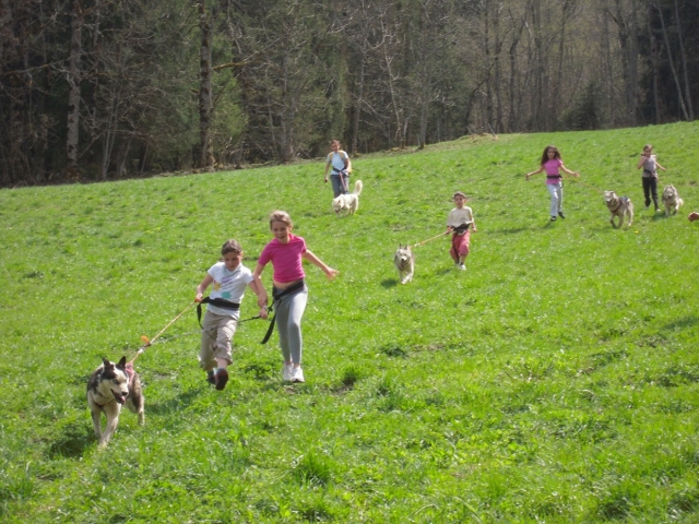  Caminata cani 