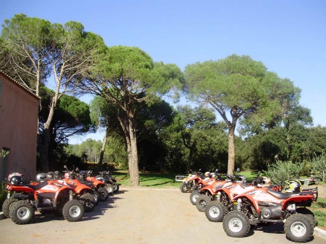 S-Quad
