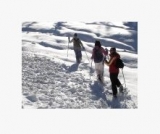  Uma ótima idéia para viagens escolares