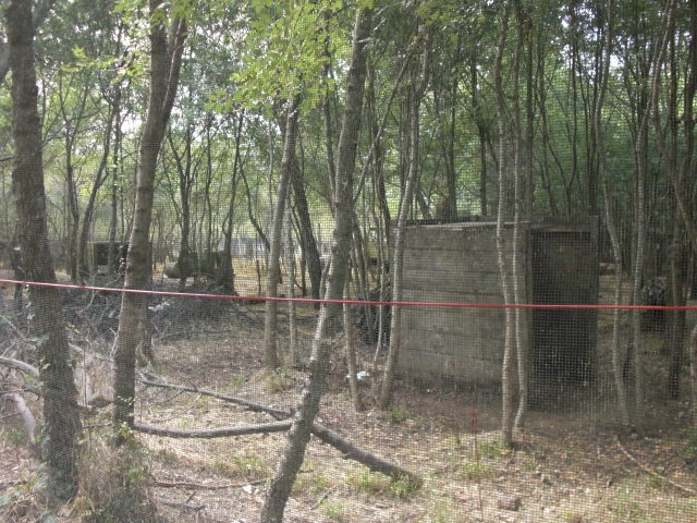 El campo de paintball 
