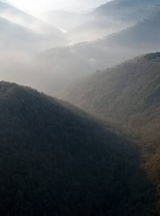  与众不同的风景 