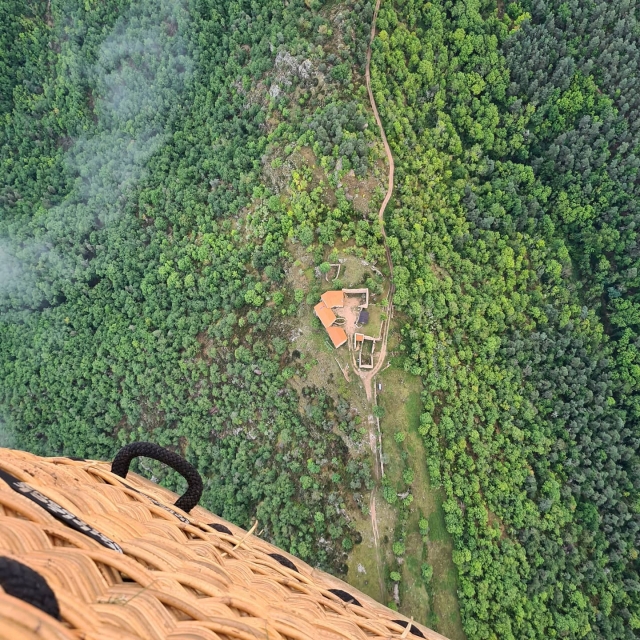  Greenery seen from the sky 