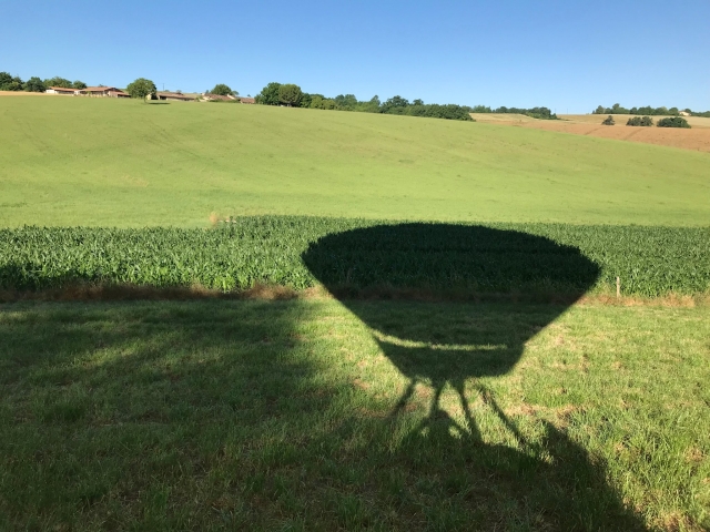  Balloon and nature 