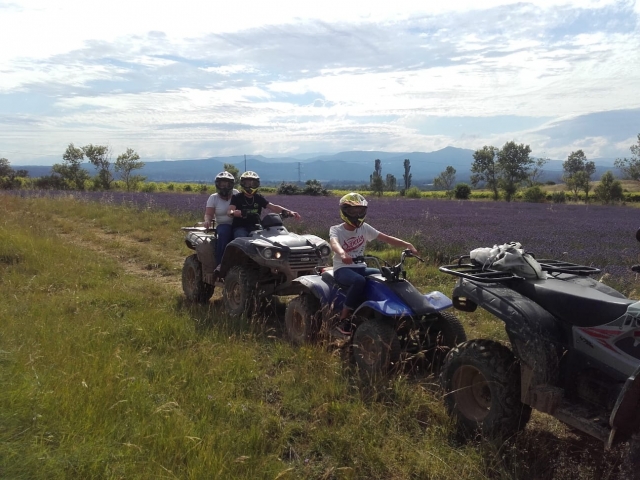 Discovery of lavender fields by quad