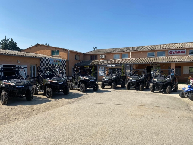 Our buggies await you