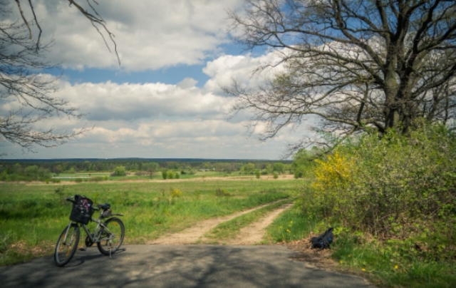 Passeio de bicicleta na natureza