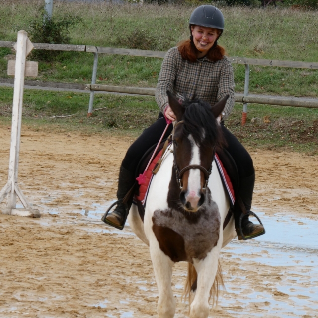 Les chevaux du club