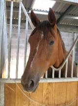 Les cheveux vous y attendent deja