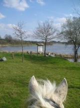 Zu Pferd in Pressignac 