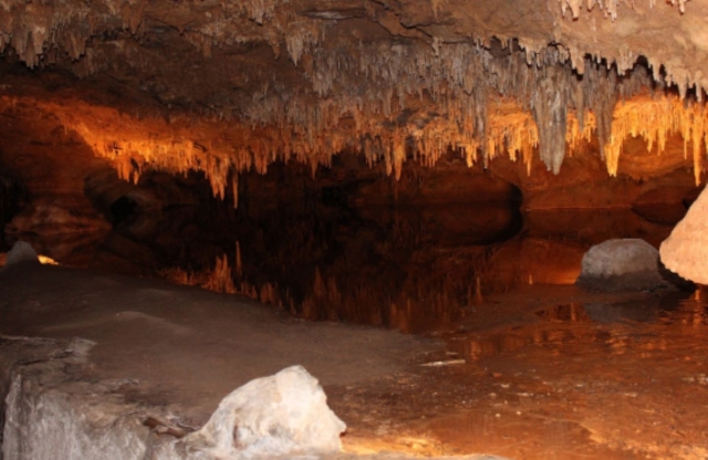 Explorez le monde souterrain d'une manière unique 