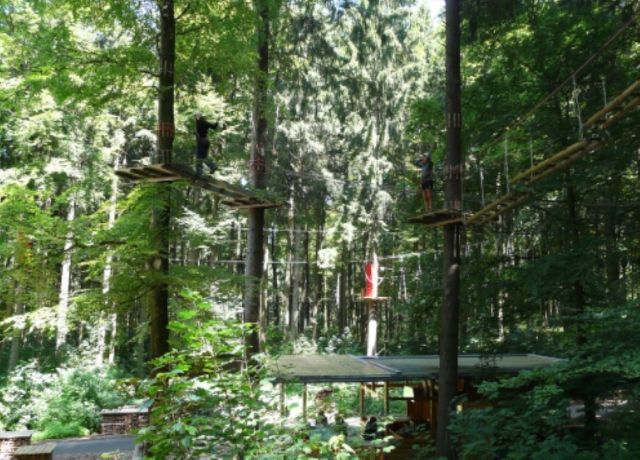 Notre parcours d'accrobranche de niveau moyen 