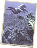  Unique diving in Marseille