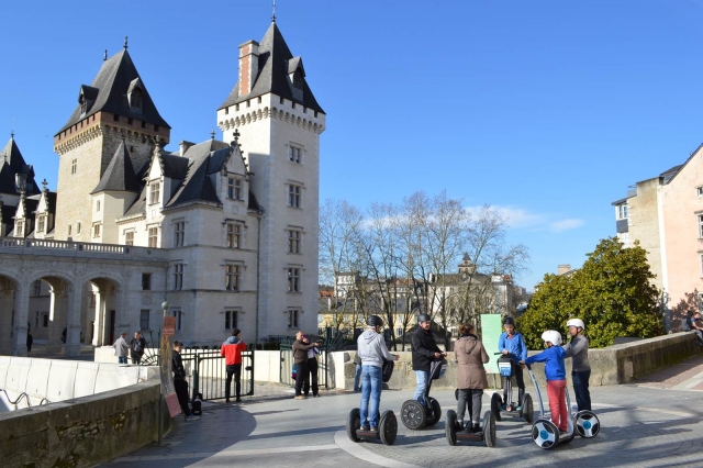  Chateau de Pau 