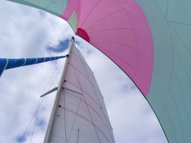  Garantierte Emotionen unter Spinnaker mit Ty Kata 