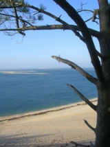 The Arcachon Basin 