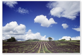 德龙省普罗旺斯滑翔机 