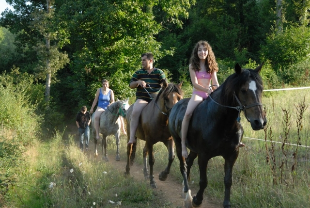 Bain avec les chevaux dans l etang